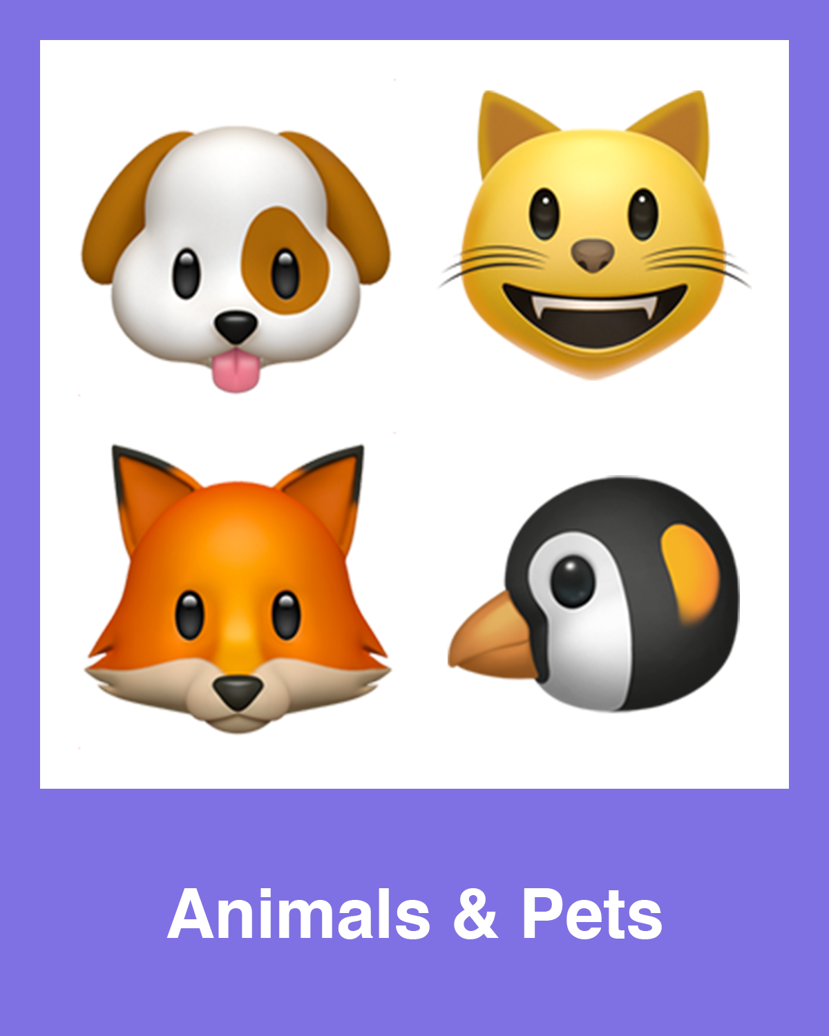 Animals & Pets