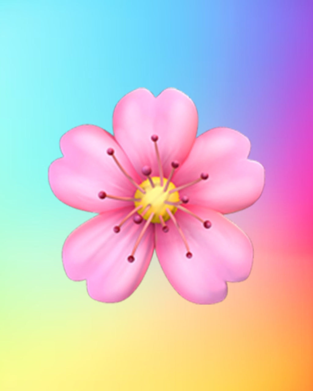 🌸 Cherry Blossom Hoodie