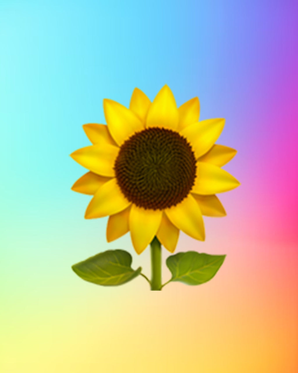 🌻 Sunflower Hoodie