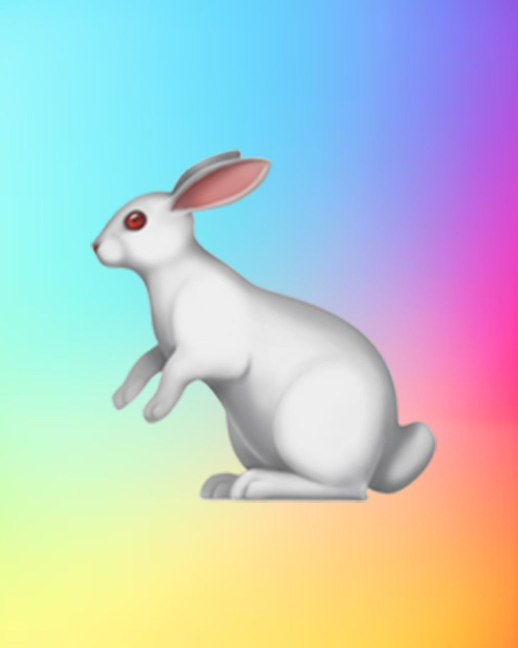 🐇 Rabbit T-Shirt