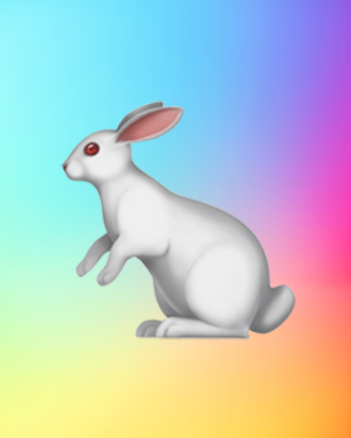 🐇 Rabbit T-Shirt